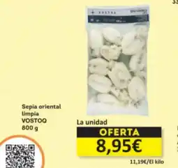 Economy Cash VOSTOQ Sepia oriental Limpia oferta