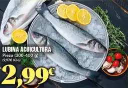 Gadis Lubina acuicultura oferta