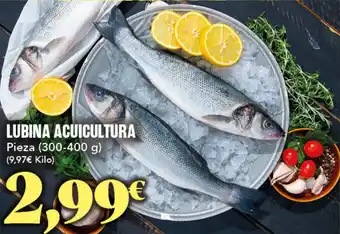 Gadis Lubina acuicultura oferta