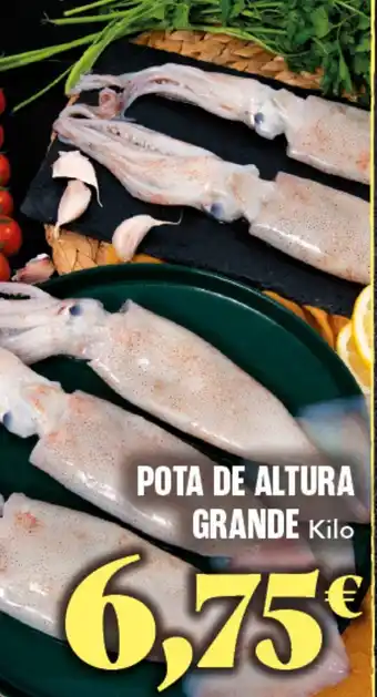 Gadis Pota de altura grande oferta