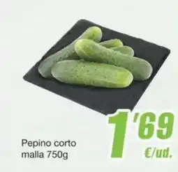 SPAR Fragadis Pepino corto malla oferta