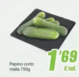 SPAR Fragadis Pepino corto malla oferta
