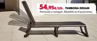 BricoCentro Tumbona dream oferta