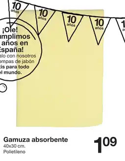 Zeeman Gamuza absorbente 40x30 cm. oferta