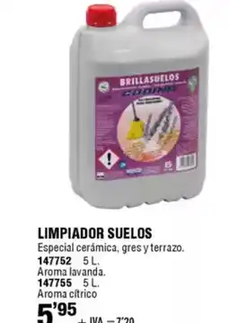 ferrOkey Limpiador suelos oferta