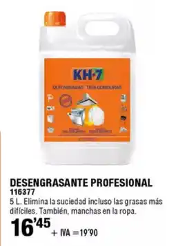 ferrOkey Desengrasante profesional oferta