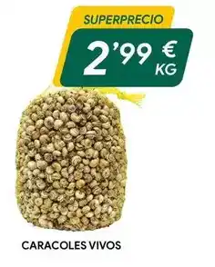 Masymas Caracoles vivos oferta