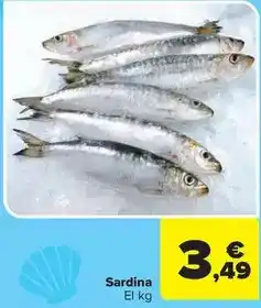Carrefour Market Sardina oferta