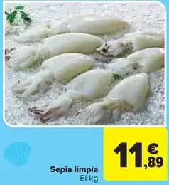 Carrefour Market Sepia limpia oferta