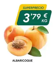 Masymas Albaricoque oferta