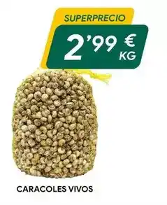 Masymas Caracoles vivos oferta