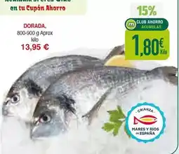 Masymas Dorada - dorada oferta