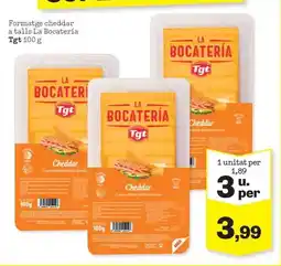 Sorli Tgt - formatge cheddar a talls la bacteria oferta