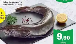 Sorli Lluç de palangre del nord oferta