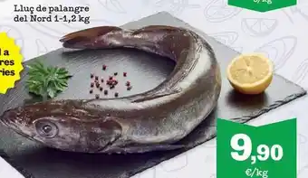 Sorli Lluç de palangre del nord oferta