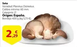 Alcampo Origen - seta oferta
