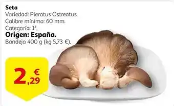 Alcampo Origen - seta oferta