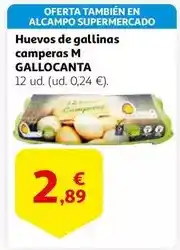 Alcampo Alcampo - huevos de gallinas camperas m oferta
