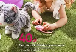 Pepco Pies lub hot interaktywny na smyczy oferta