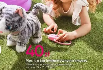 Pepco Pies lub hot interaktywny na smyczy oferta