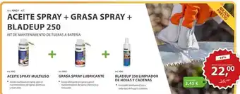 Ferri Aceite spray + grasa spray + bladeup 250 oferta