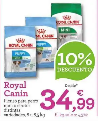 TiendAnimal Roayl Canin Pienso Para Perro Mini O Starter 8 u 8,5kg oferta