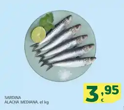 HiperDino Sardina alacha mediana oferta