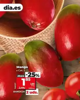 Dia Mango oferta