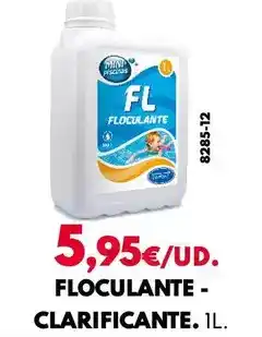 BricoCentro Floculante-clarificante oferta