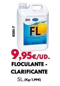 BricoCentro Floculante - clarificante oferta