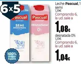 UDACO Pascual - leche oferta