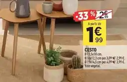 Centrakor Cesto oferta