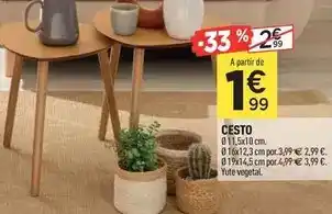 Centrakor Cesto oferta
