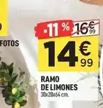 Centrakor Ramo de limones oferta
