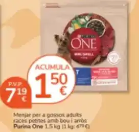 SPAR Lanzarote Campofrío - jamón cocido extra oferta