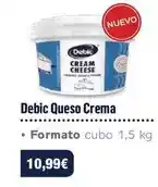 Comerco Cash & Carry Debic - queso crema oferta