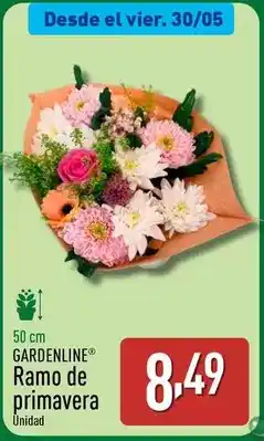 ALDI Gardenline - ramo de primavera oferta
