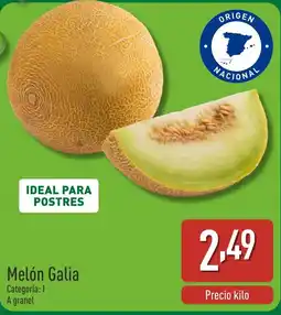 ALDI Melón Galia oferta