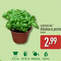 ALDI GARDENLINE Albahaca pesto oferta