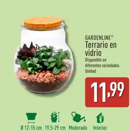 ALDI GARDENLINE Terrario en vidrio oferta