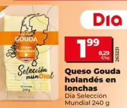 Dia Dia selección mundial - queso gouda holandés en lonchas 240 g oferta