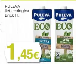 Supermercats Jespac PULEVA llet ecològica brick oferta