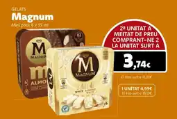 Supermercats Jespac MAGNUM Gelats oferta