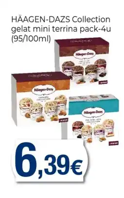 Supermercats Jespac HÄAGEN-DAZS Collection gelat mini terrina pack-4u oferta