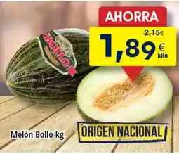 FROIZ Melón Bollo oferta