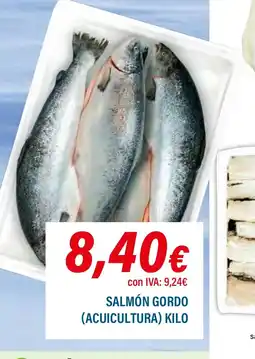 Cash Ifa Salmón gordo oferta