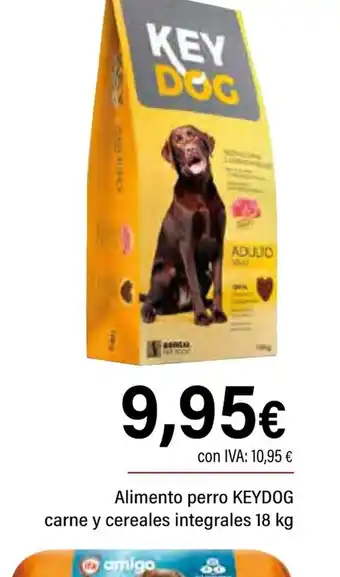 Cash Ifa KEY DOG Alimento perro carne y cereales integrales oferta