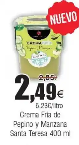 FROIZ Crema Fría de Pepino y Manzana Santa Teresa oferta
