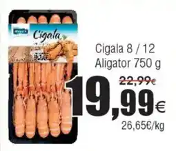 FROIZ CIGALA 8/12 Aligator oferta