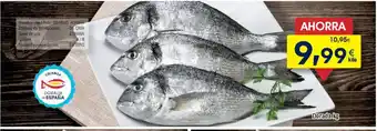 FROIZ Dorada oferta